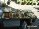 eten
