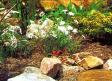 planten