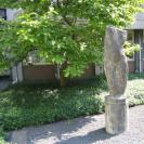 tuin